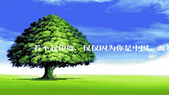 “看不起印度，仅仅因为你是中国，而对于普通国家，印度已经是巨人”，这个观点你认同吗？