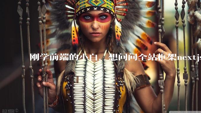 刚学前端的小白，想问问全站框架nextjs+shadcn+prisma为什么在国内不火呢？