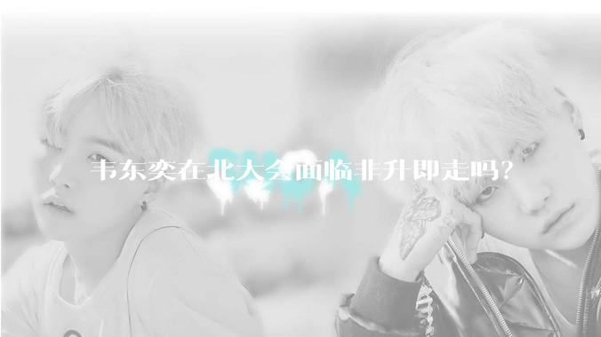 韦东奕在北大会面临非升即走吗？
