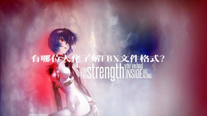 有哪位大佬了解FBX文件格式？