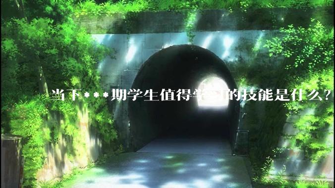 当下***期学生值得学习的技能是什么？