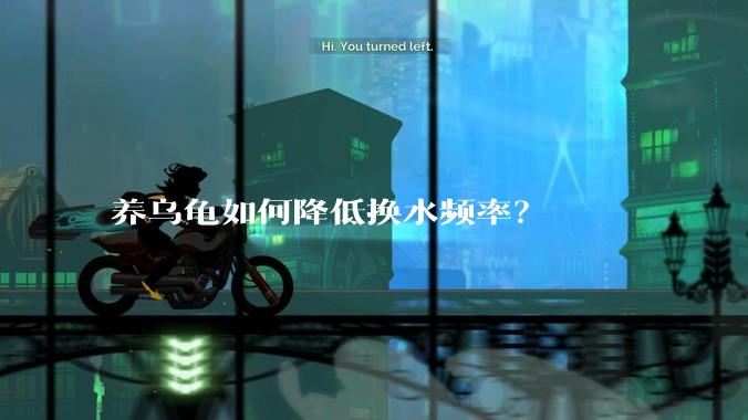 养乌龟如何降低换水频率？